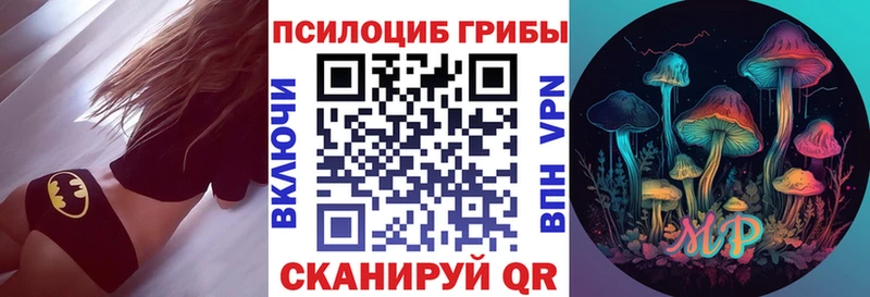 нарко площадка официальный сайт  Дубовка  Галлюциногенные грибы Psilocybe 