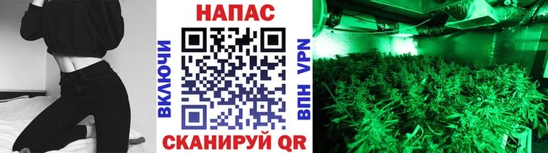 кракен зеркало цена Дубовка Бошки Шишки сатива